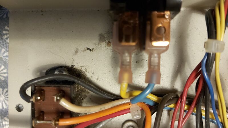 File:20220814 202639.jpg